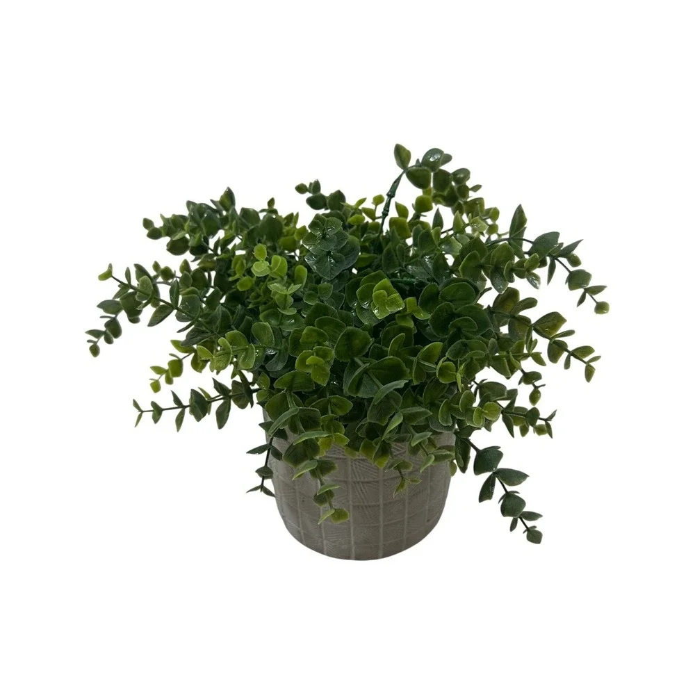 Artificial Eucalyptus Potted Plant Faux Greenery in Grey Textured Cement Pot